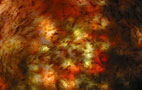Abstract Digital Photography