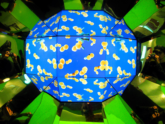 A Trip to the Bacteria Archives