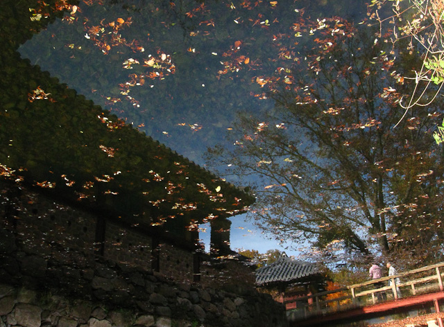 Reflections at Songgwangsa