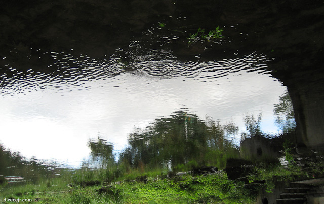 Under a Rotting Highway
