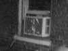 thumbnail of Item 1 Title