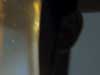 thumbnail of Item 2 Title