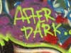 thumbnail of Item 2 Title