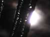 thumbnail of Item 1 Title