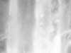 thumbnail of Item 1 Title