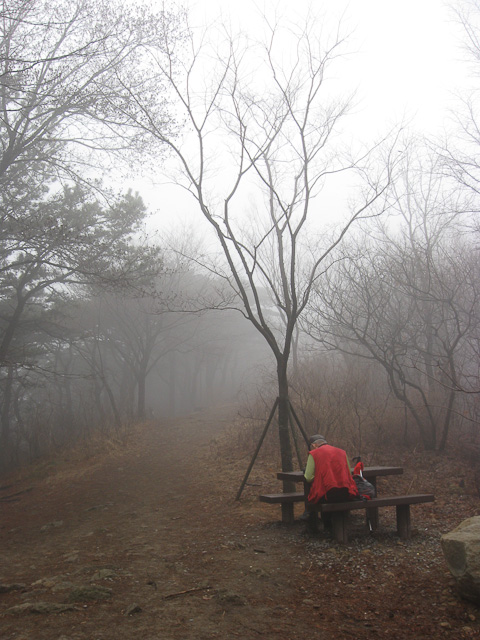 Down the Rabbit Path, Mt. Mudeung