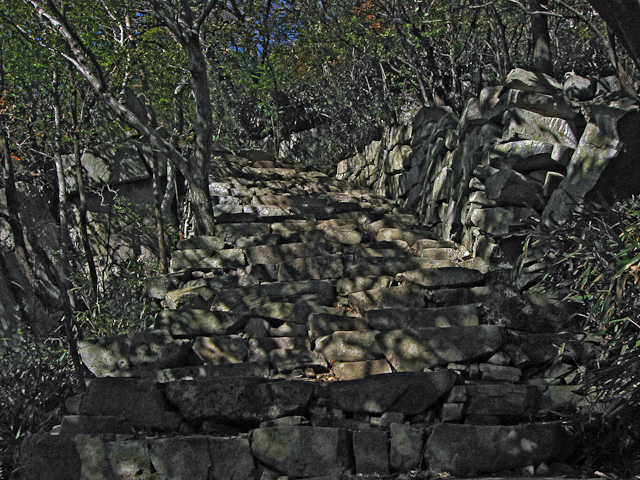 Below the Well of Wormwood