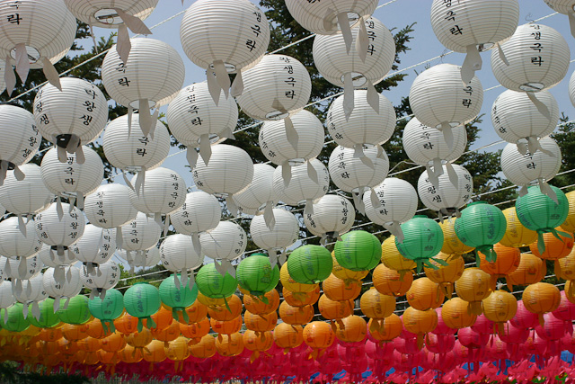 Lotus Lanterns on Buddha's Birthday 2010